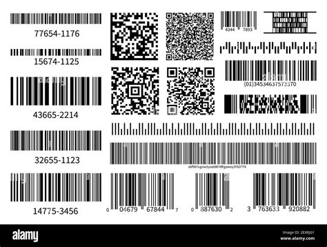 Barcodes Collection Vector Code Information Qr Store Scan Codes