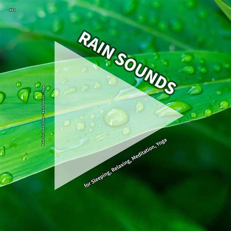 Vitalizing Rain Sounds By Rain For Deep Sleep On Tidal