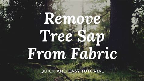 How To Remove Pine Sap From Fabric Online Fast Lisauniboit