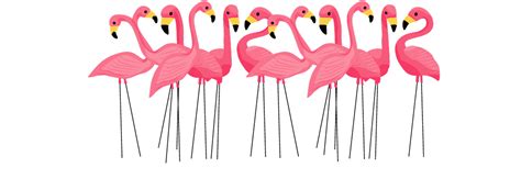 flamingo flock clipart 10 free Cliparts | Download images on Clipground ...