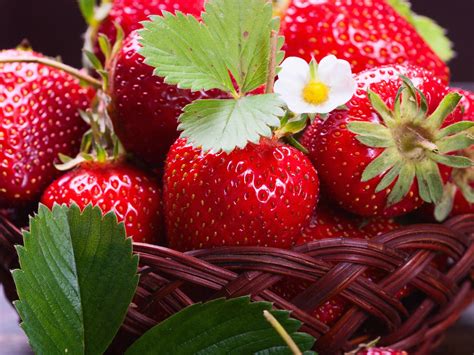 Fondos De Pantalla Deliciosas Fresas Frutas Flores 3840x2160 UHD 4K