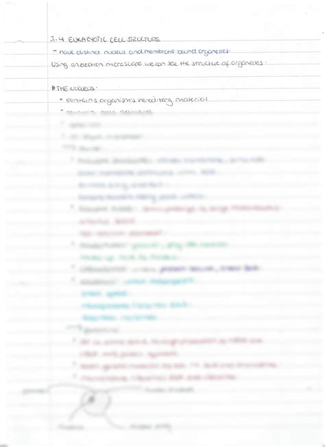 SOLUTION: Eukaryotic cell structure - Studypool