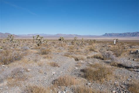 Alamo Road To Dry Lake ~ Desert National Wildlife Range | Flickr