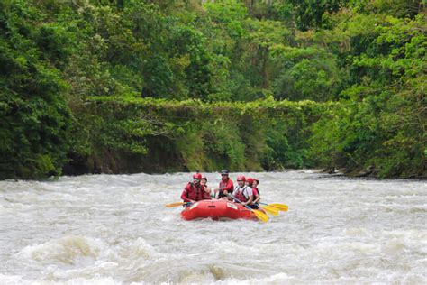 Carlos Plants A Tree And Falls In Love With Rafting Desafio Adventure