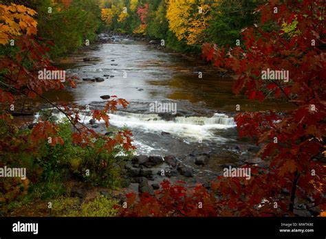 Sturgeon River along Sturgeon Falls Trail, Sturgeon River Gorge Wilderness, Sturgeon Wild and ...