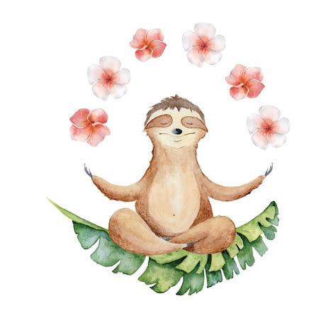 Paresseux De Yoga Aquarelle En Position Du Lotus Avec Des Fleurs