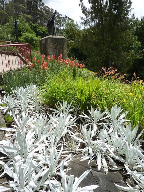 lf_110605_p1060921 | lucianf | Flickr