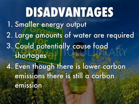 Advantages And Disadvantages Of Biodiesel