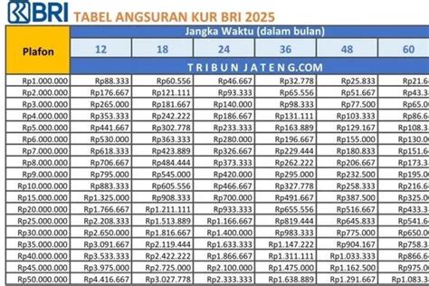 Panduan Lengkap KUR BRI 2025 Syarat Simulasi Kredit Hingga Rp 500