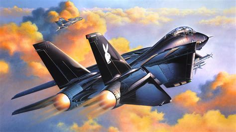 Download Military Grumman F 14 Tomcat Art