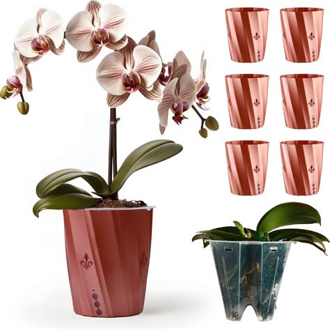 Amazon 6 Pack 5 Inch Orchid Pot And Self Watering Pots For Indoor