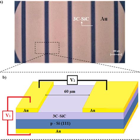 A An Optical Microscope Image Of The Fabricated Device With Six