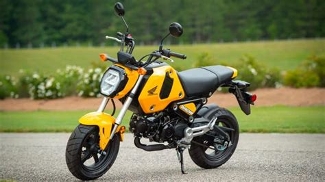 Why Honda Grom Is So Popular Or Overrated 6 Reasons