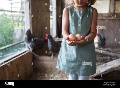 Chicken Coop Hi Res Stock Photography And Images Alamy