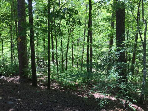 Teapots N Treasures Estate Sales Inside Hot Springs Village