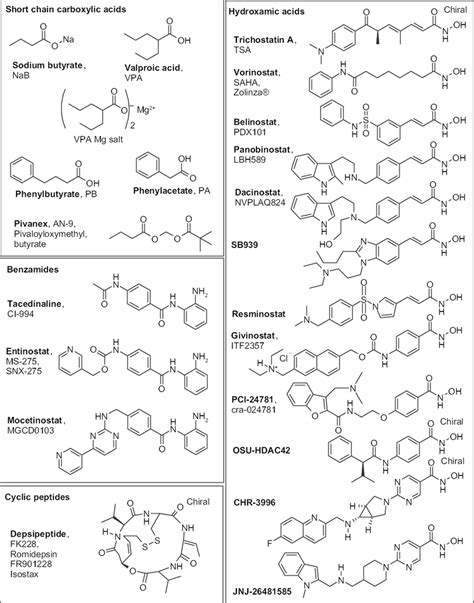 Histone Deacetylase Hdac Inhibitors Used In Clinical Trials Arranged