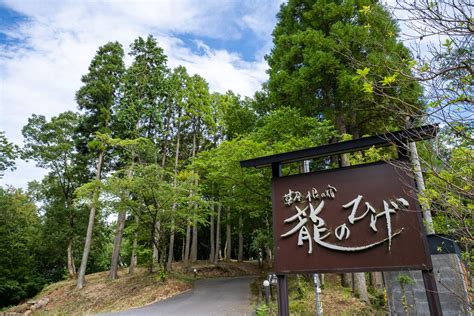 由布院 ゆむ田の森温泉 草屋根の宿 龍のひげ／別邸 ゆむた 由布院 ゆむ田の森温泉 草屋根の宿