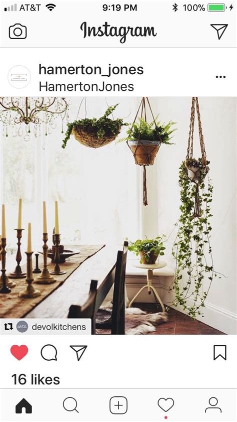 Pin By Jeannette Johnson On Gardens Hanging String Gardens Kokedama