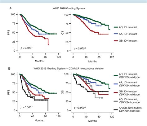 Figure 1 From CDKN2A Homozygous Deletion Is A Strong Adverse Prognosis