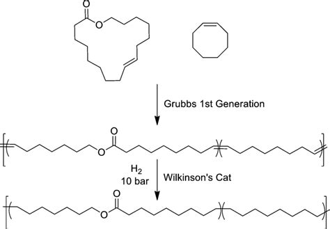 Ring Opening Metathesis Polymerization Of Amb And Cco And Subsequent