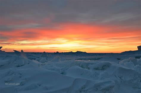 Winter Light And Polar Bear Prints Point Hope Alaska Cutterlight