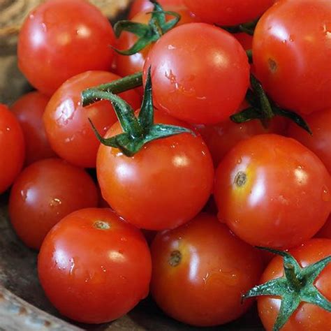 Tomato Sweetie Cherry Heirloom 25 Seeds Lilys Garden Store