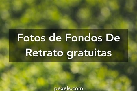 1000 Fotos De Fondos De Retrato · Pexels · Fotos De Stock Gratis