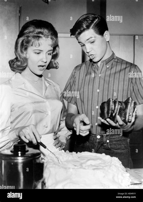 Donna Reed Show 1958 66 Shelley Fabares Paul Petersen Mr Nice Guy