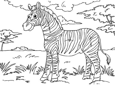 Disegno Da Colorare Zebra Disegni Da Colorare E Stampare Gratis Imm