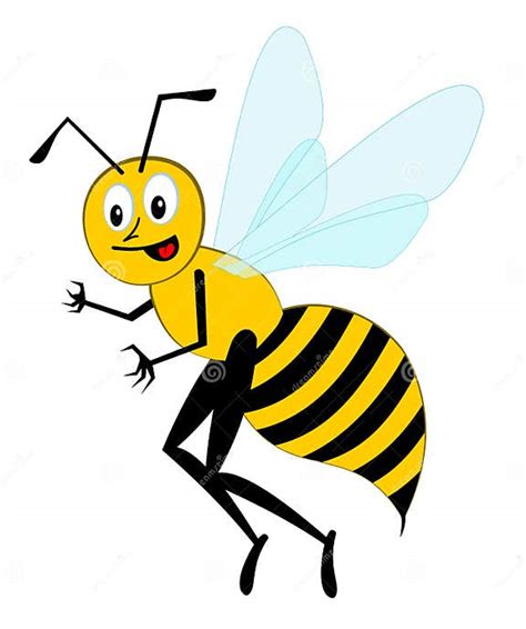 Funny Cartoon Bee Vector Stock Vector Illustration Of Drawing 20348548