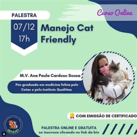 Curso Online Manejo Cat Friendly Gepavet Brasil