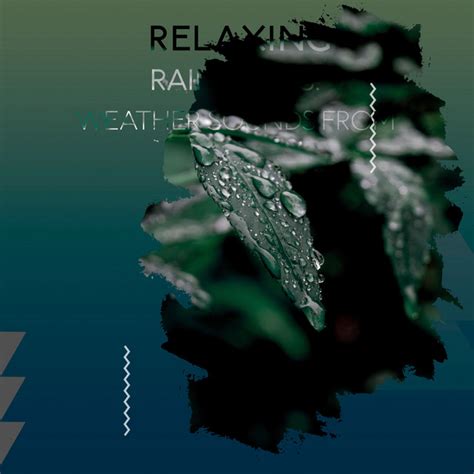 Zzz Relaxing Raindrops Weather Sounds From The Woods Zzz Album By