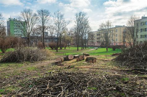 Rozpoczęto porządkowanie terenu pod apartamentowiec przy ul