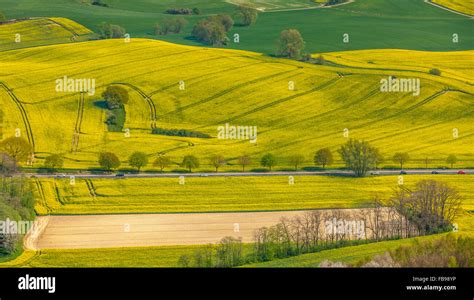 Aerial View Canola Fields Canola Hi Res Stock Photography And Images