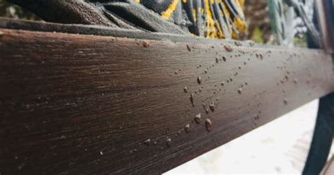 Чем и как покрасить террасу или садовую мебель? - OILWOOD
