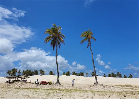 Coisas Legais Para Fazer Em Mangue Seco - O que fazer em Mangue Seco