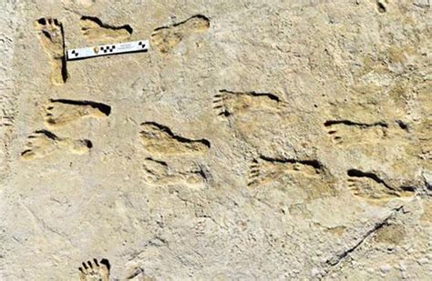 23000 Year Old Human Footprints Found In New Mexico Are Revolutionary