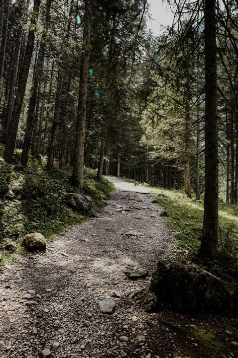 Kleinarl Jägersee und Wanderung zum Tappenkarsee daisiesandglitter