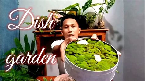 How To Make Dish Garden For Center Table Indoor Plants Tagalog