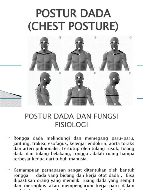 anatomi fisiologi  dada