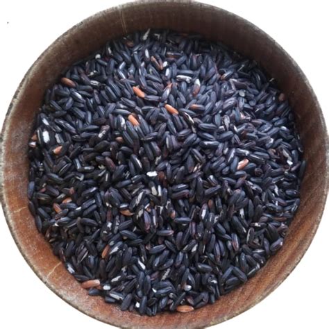 Black Rice Manipur Chakhao Variety Pahari Roots
