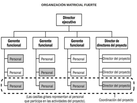 Tipos de Organización Tipos de Organizaciones