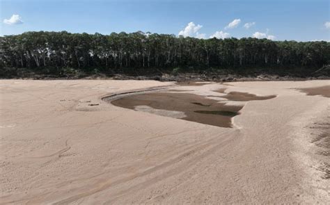 Seca do rio Madeira paralisa operações em hidrelétrica Nexo Jornal