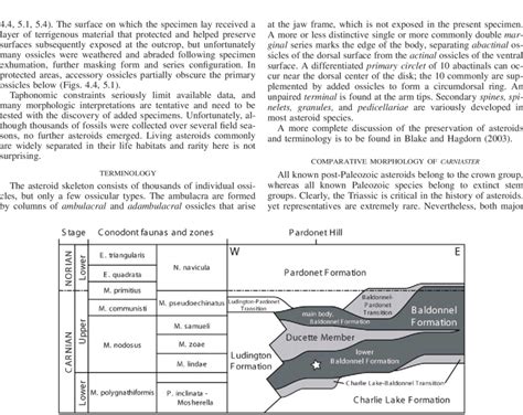 Upper Triassic Lithostratigraphic Nomenclature And Conodont Download Scientific Diagram