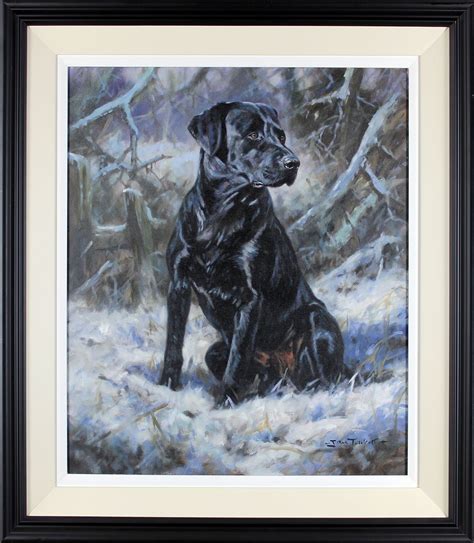 John Trickett Black Labrador In The Snow Mutualart