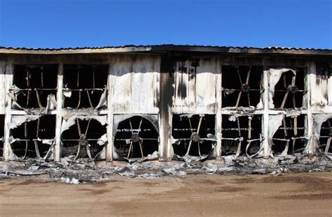 Dimmitt Texas Dairy Farm Explosion How 18000 Cows Died In One Fire