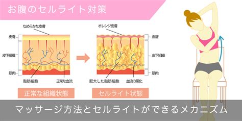 セルライトローラーでセルライトをつぶす効果的な使い方 ダイエットなら美wise！