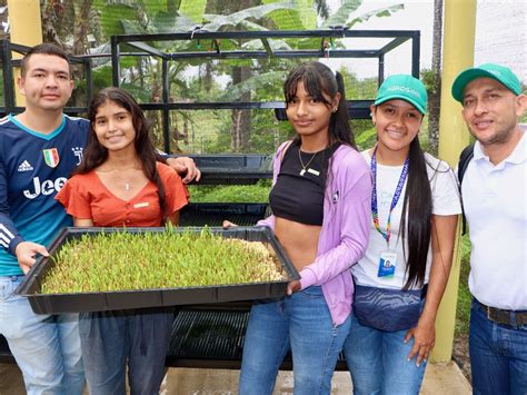 Forraje verde hidropónico una alternativa viable para la alimentación