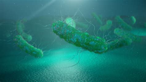 A Multi Drug Resistant Superbug Is Mutating On The Iss