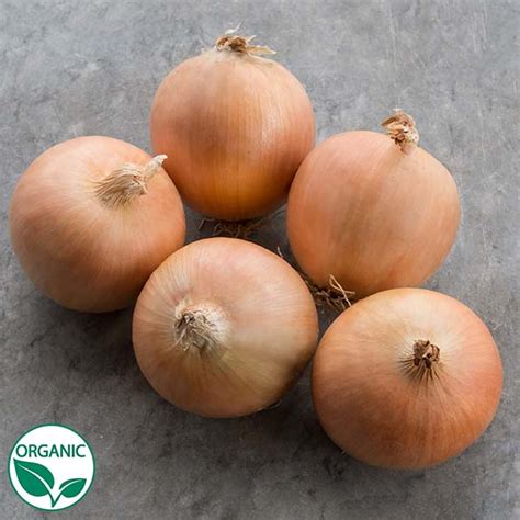 Talon F1 Organic Onion Seeds Osborne Hybrid Farm Seed Company